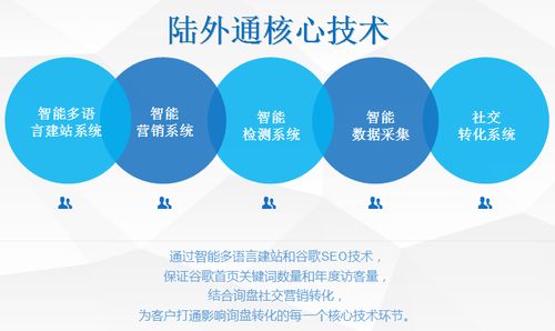 外貿(mào)網(wǎng)絡(luò)營(yíng)銷推廣與建設(shè) 策略與實(shí)踐